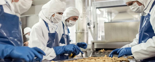 Process, Packaging, and Facility Design